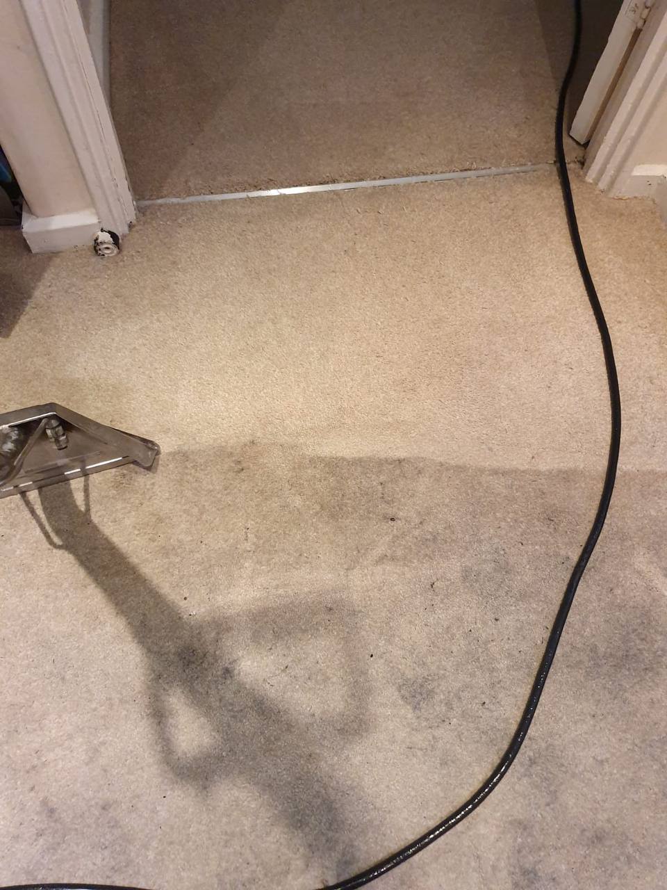 Carpet cleaning