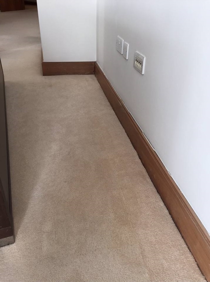 Carpet cleaning